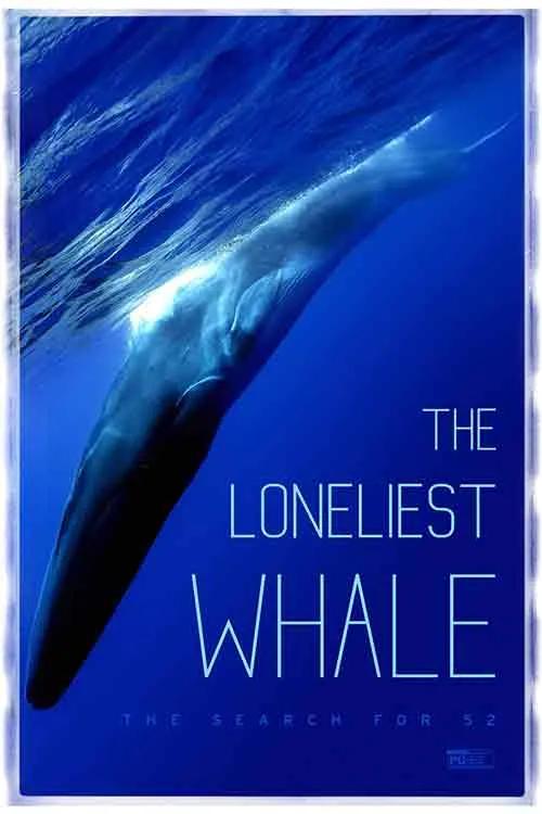 تنهاترین نهنگ: در جستجوی نهنگ 52